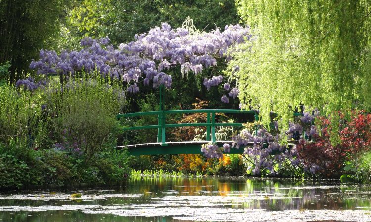 Monet’s Water Garden and the Water Lilies: Why This Place Changed the History of Art ?