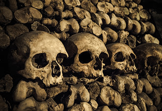 tour to normandy from paris Paris Catacombs Skip-The-Line