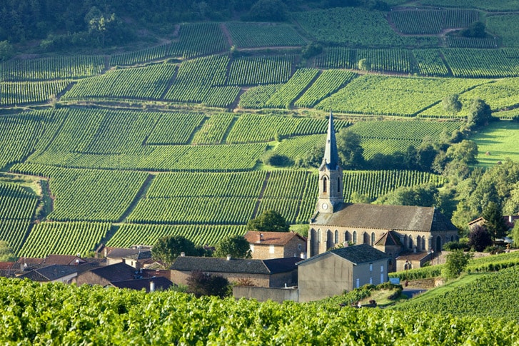 Burgundy landscape