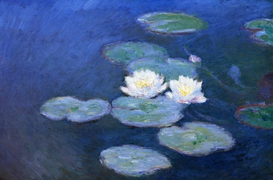 The water lilies